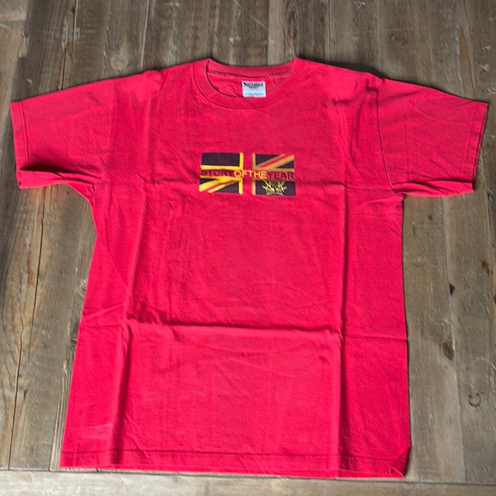 Vintage Story of the Year Shirt